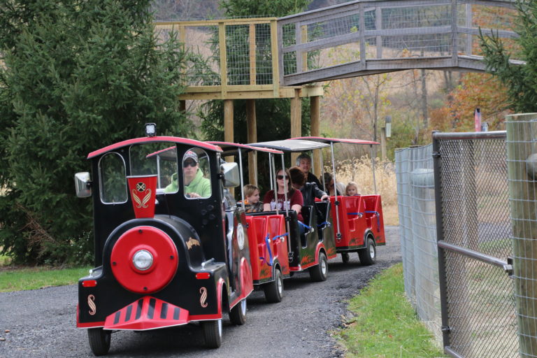 Pioneer Express Train Rides Pioneer Evergreen Farms