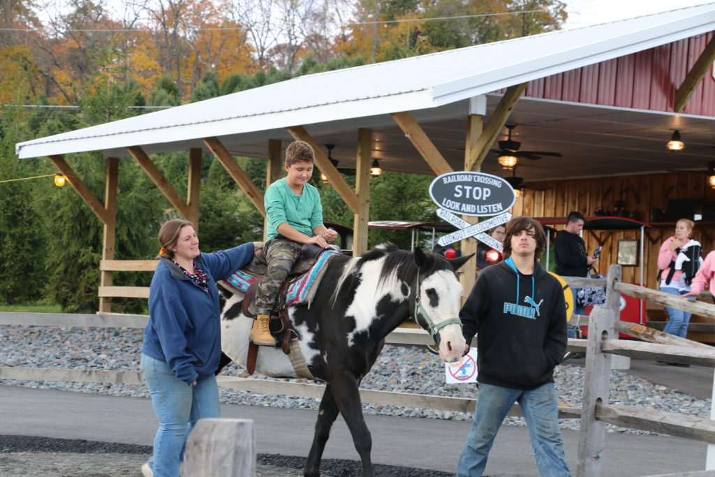 horses Pioneer Evergreen Farms