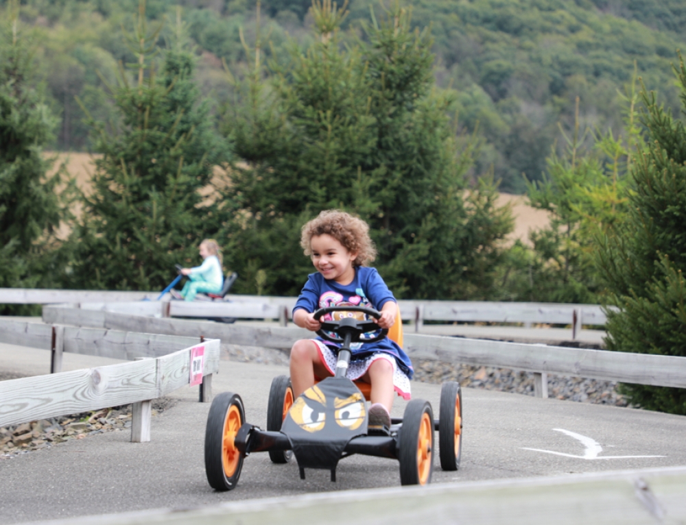 Pioneer Express Train Rides Pioneer Evergreen Farms